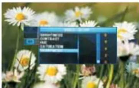 Digital display screen showing a blue screen with Chinese text and control buttons, surrounded by white daisies.