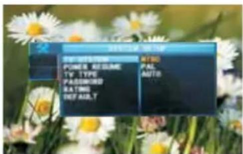 TV WITH HOME POWER REQUIRED TV TYPE PASSWORD RATING DEFAULT AUTO PAL AUTO