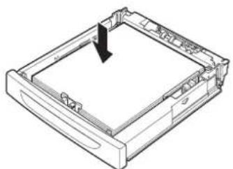 OKI B730N - CASSETTE TRAYS - 6