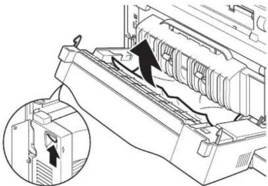 OKI B730N - INSIDE COVER C (DUPLEX UNIT) - 1