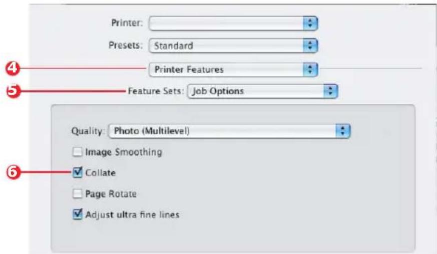 OKI C8800N - Select [Copies &amp; Pages] (2). - 1