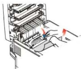 OKI C830N - Do not use any sharp or abrasive objects to separate sheets from the belt. This may damage the belt surface. - 2