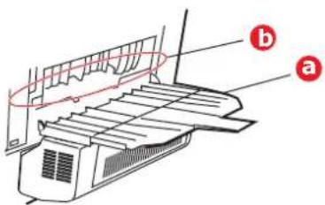 OKI C830N - Do not use any sharp or abrasive objects to separate sheets from the belt. This may damage the belt surface. - 7