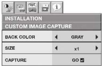 INSTALLATION CUSTOM IMAGE CAPTURE BACK COLOR GRAY SIZE x1 CAPTURE GO