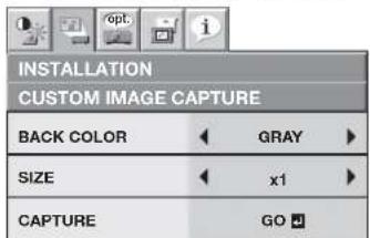 INSTALLATION CUSTOM IMAGE CAPTURE BACK COLOR GRAY SIZE x1 CAPTURE GO