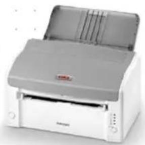 OKI B2200N - User'sGuide - 1