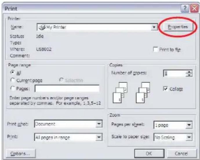 OKI B2200N - SETTING PRINTING PREFERENCES - 1
