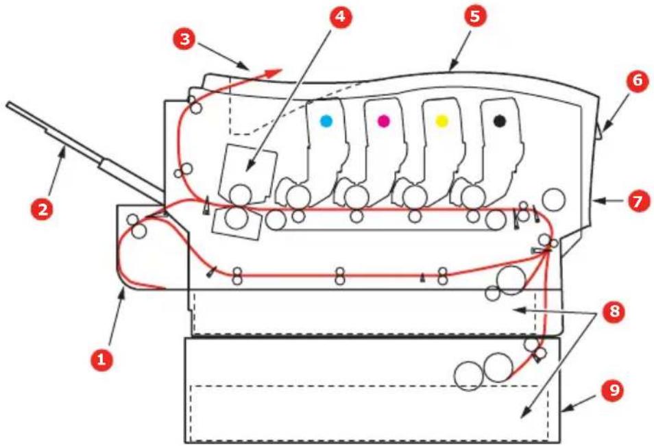 OKI C8800DTN - IMPORTANT NOTE: - 1