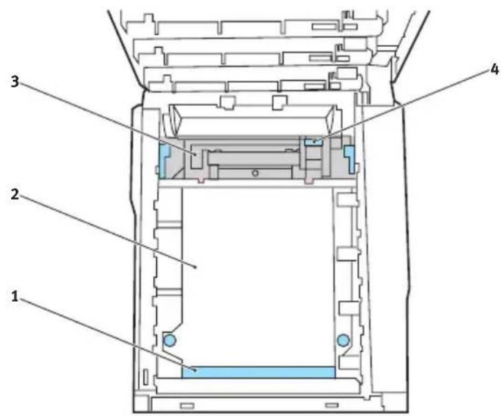 OKI C8800DTN - Do not use any sharp or abrasive objects to separate sheets from the belt. This may damage the belt surface. - 1