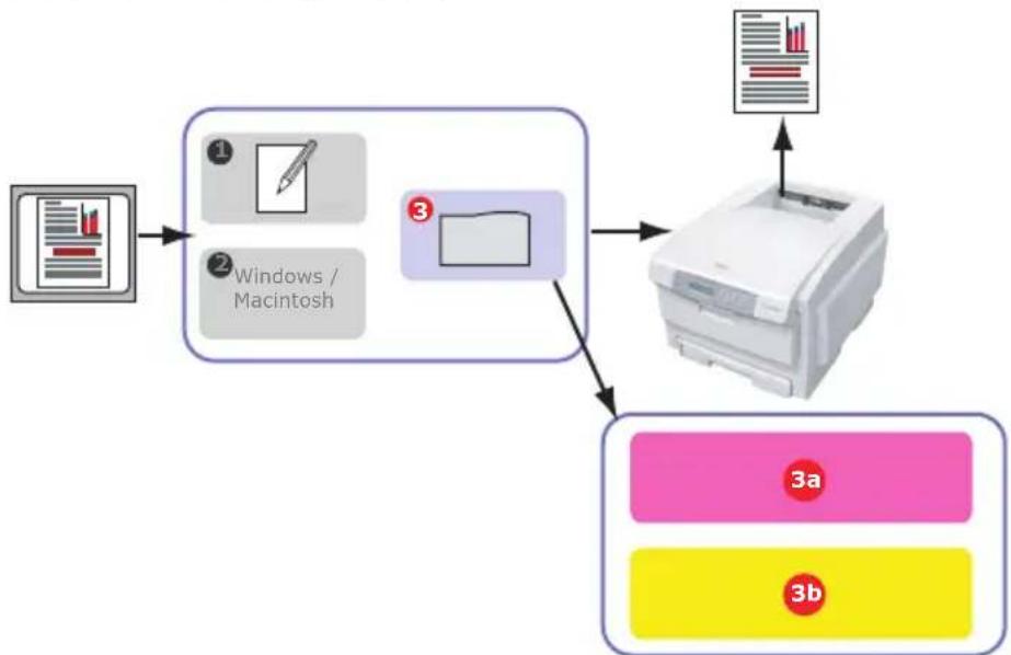 OKI C8800DTN - INTRODUCTION - 1