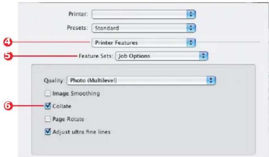 OKI C8800DTN - Select [Copies &amp; Pages] (2). - 1