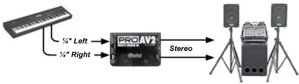 Radial Engineering ProAV2 - 1/4 INSTRUMENT JACKS - 1