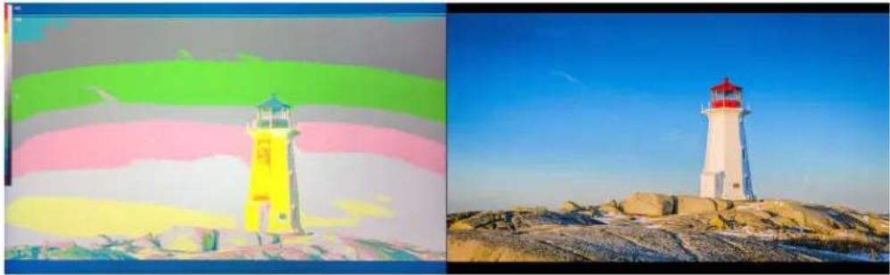 Lilliput BM280-4K - False Color - 1