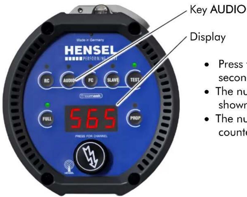 Hensel Expert D 250 Speed - Daily Flash Counter - 1