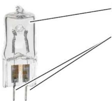 Hensel Expert D 250 Speed - Inserting Halogen Lamp for Modeling Light - 1