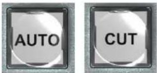 AVMATRIX PVS0605 - Keyboard Button - 6