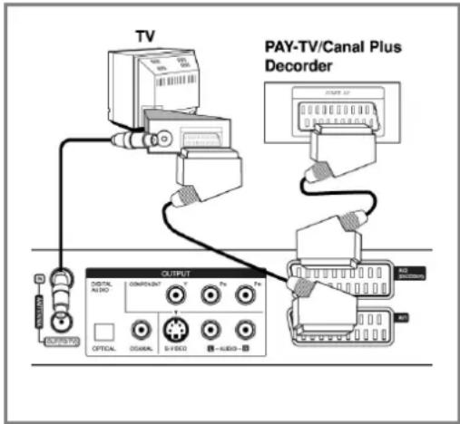 TV PAY-TV/Canal Plus Decoder OUTPUT DIGITAL AUDIO COMPONENT Y PN PN OPTICAL DGARAL S-1000 AUDIO-1 DCR/RSTGND
