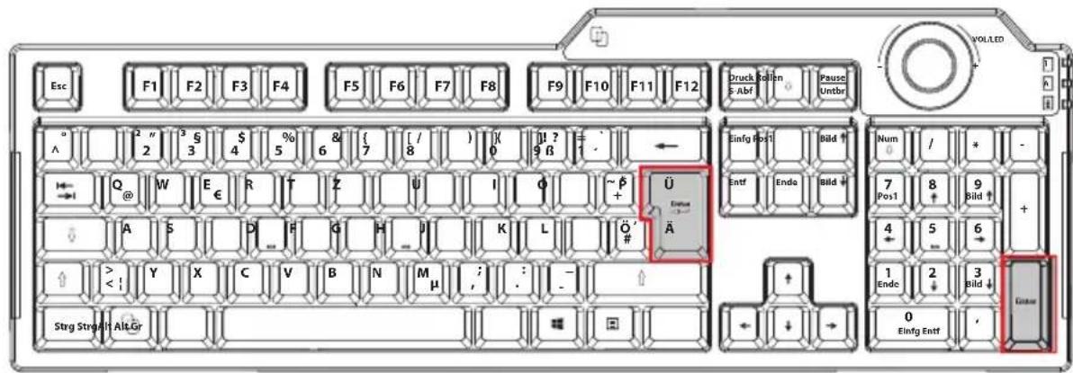 MEDION P81101 (MD 86825) - Die Eingabetaste - 1