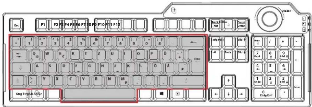 MEDION P81101 (MD 86825) - Alphanumerische Tasten - 1