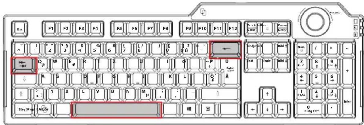 MEDION P81101 (MD 86825) - Die Leer- / Tabulator- / Rückstell-Taste - 1