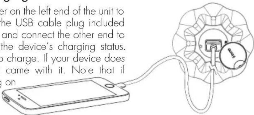 IHOME IX360 - Charging Devices via USB Charging Port - 1