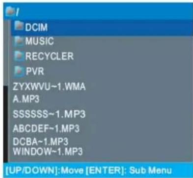 Sceptre E240CC-FHD - Browsing - 1