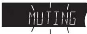 PANASONIC SC-HT820V - Muting - 1
