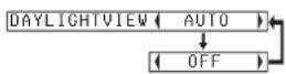 PANASONIC PT-P1SDU - DAYLIGHTVIEW - 1