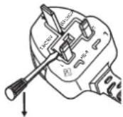 PANASONIC PT-EZ580L - IMPORTANT: THE MOULDED PLUG (U.K. only) - 1