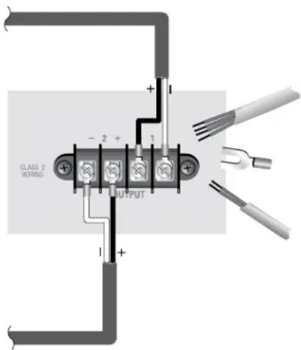CROWN CDi DriveCore 4|1200 - Wiring Output Connectors - 1