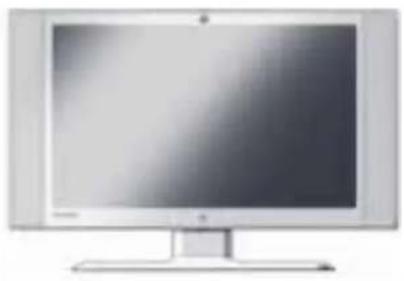 VIEWSONIC VPW4255 - Package Contents - 1