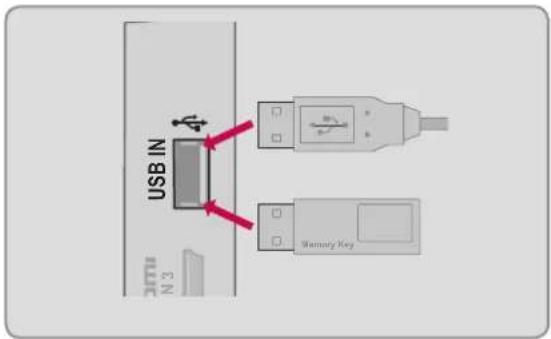 LG 47LD450C - USB Connection - 1