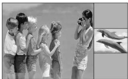 LG 42PC1DV - Adjusting Main and Sub Picture Sizes for Twin Picture - 1