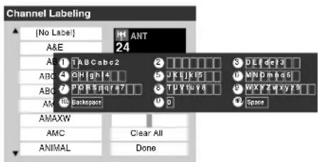 TOSHIBA Regza 37HL67 - To create and assign a custom label: - 1
