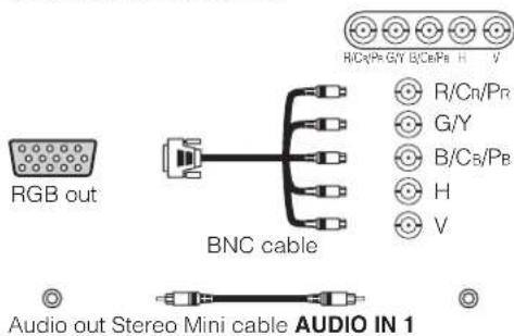 RGB out BNC cable Audio out Stereo Mini cable AUDIO IN 1