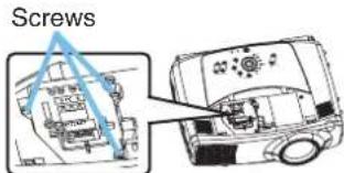 Screws