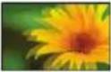 LG 55LW7700 - Viewing 3D Imaging - 5
