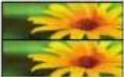 LG 55LW7700 - Viewing 3D Imaging - 3