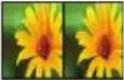 LG 55LW7700 - Viewing 3D Imaging - 2