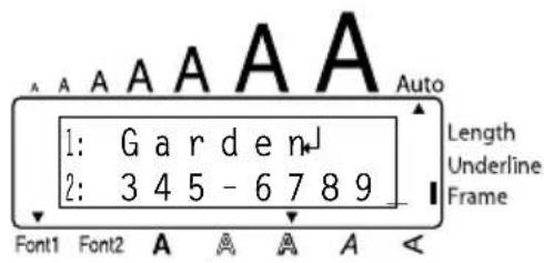 A A A A A A Auto 1: G a r d e n J 2: 3 4 5 - 6 7 8 9 Length Underline Frame Font1 Font2 A A A A A <