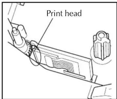Print head