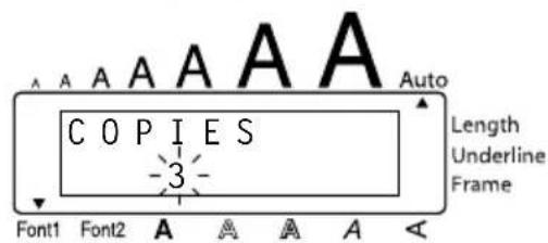 A A A A A A Auto C O P I E S -3- Length Underline Frame Font1 Font2 A A A A A