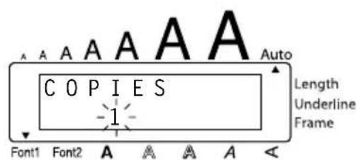 A A A A A A C O P I E S 1 Font1 Font2 A A A A A Auto Length Underline Frame