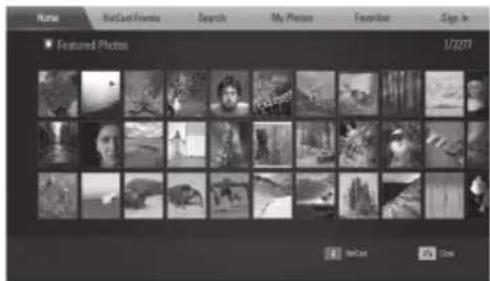 LG LHB335 - About the Picasa™ Web Albums menu - 1