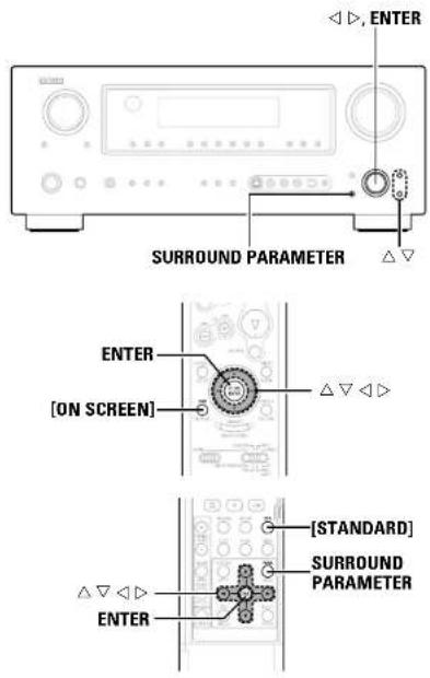 SURROUND PARAMETER ENTER [ON SCREEN] ENTER [STANDARD] SURROUND PARAMETER ENTER