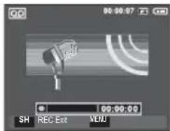 SAMSUNG SL201 - Voice Recording - 2