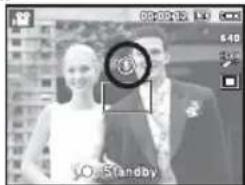SAMSUNG SL201 - Recording the movie clip without sound - 3
