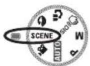 SAMSUNG SL201 - How to use the Scene modes ( SCENE ) - 1