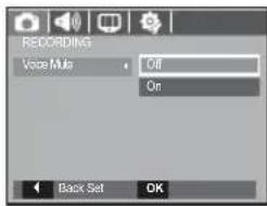 SAMSUNG SL201 - Recording the movie clip without voice - 1