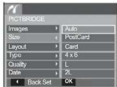 SAMSUNG SL201 - PictBridge : Print Setting - 1
